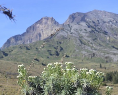Pemerintah Tutup Jalur Pendakian Gunung Rinjani