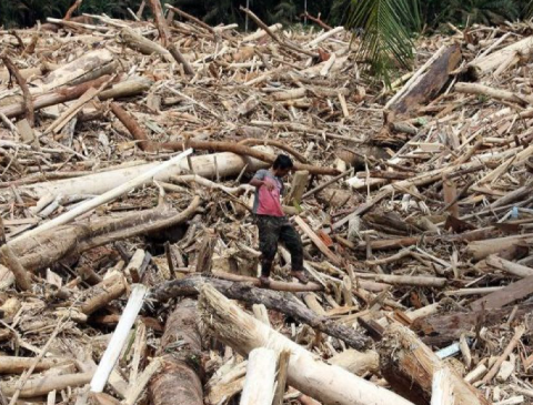 Sampah Kayu Menjadi Meterial Pemulihan Sumatera