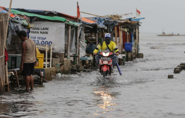 Banjir Rob Ancam Pesisir Jakarta Utara